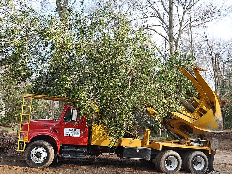 24/7 Emergency Tree Removal in Sterling, VA: Your Rapid Storm Response Team