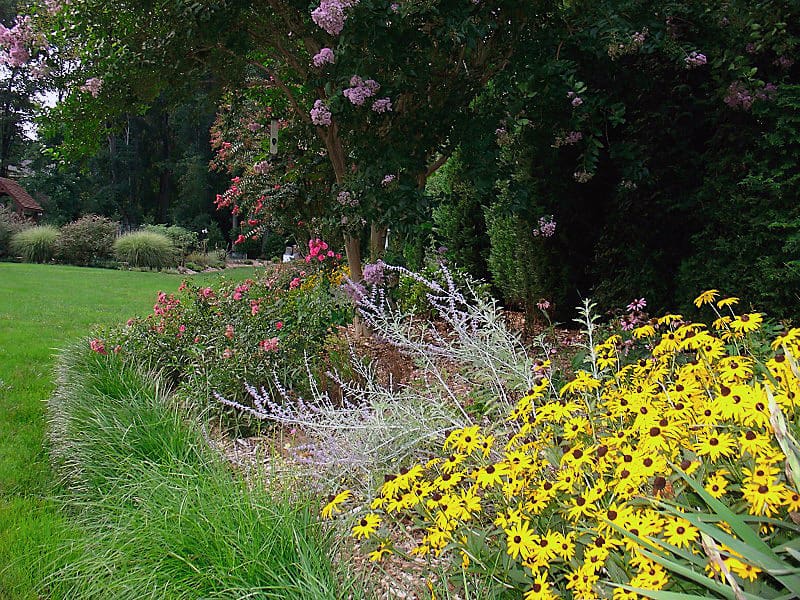 Bringing Northern Virginia Back to Life: Sterling’s Premier Native Plant Landscaping
