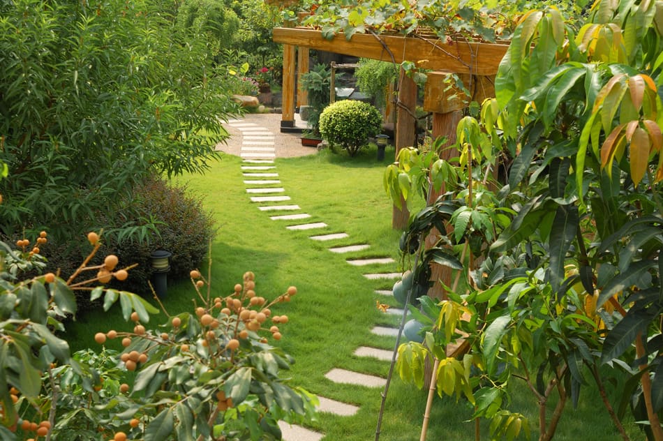How Off-Season Planning Saves Money on Landscaping