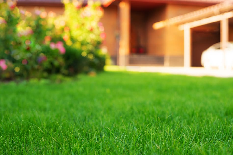 The Best Time to Start Mowing and Lawn Maintenance in Spring